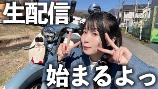 【報告あり】ゆるめのライブ配信やるぞぉおおお！！