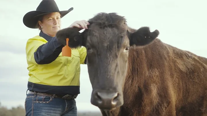 NH Foods Australia – Excellence in Feedlot Education Medal – Whyalla Beef