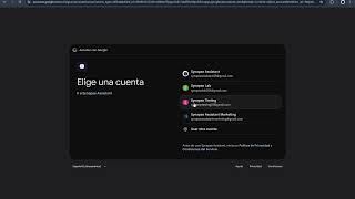 Synapse Assistant - Google OAuth Consent Screen Verification Demo