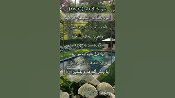 سورة الانعام الآيتين ٣٦ و ٣٧