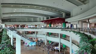 Main Hall of Naha Airport | Okinawa Japan