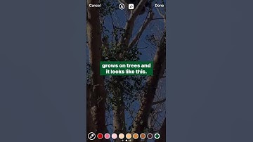Accessibility: Captions