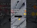 Este cangrejo ha tomado demasiado sol aquí