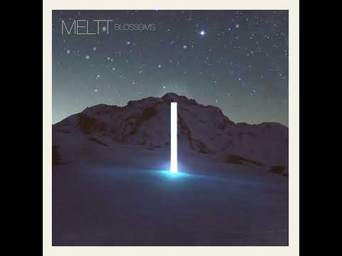 Meltt - Blossoms (Visualizer)