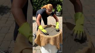 The Completed White Mini Pond for Fish 🐟✨ DIY Cement Garden Pond Reveal