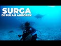 Ep30  surga menikmati keindahan bawah laut pulau arborek raja ampat