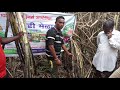 Nava bharath fertilizers ltd