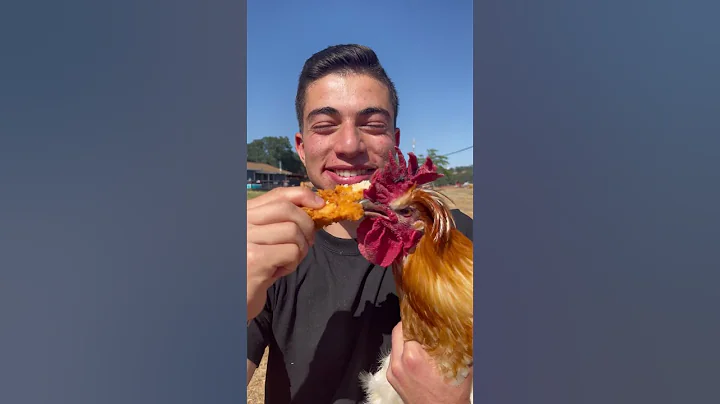 Eat A Chicken In Front Of A Chicken 🐔 - DayDayNews