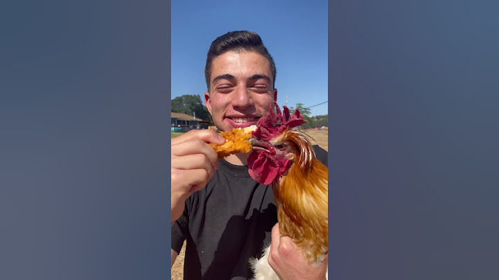 Eat A Chicken In Front Of A Chicken 🐔