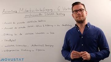 Novustat.com | Auswertung Mitarbeiterbefragung: 6 Vorteile einer professionellen Statistik Beratung