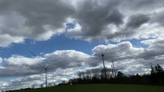 Soft- Ds Mit Der Carf Dg-800