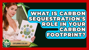 What Is Carbon Sequestration