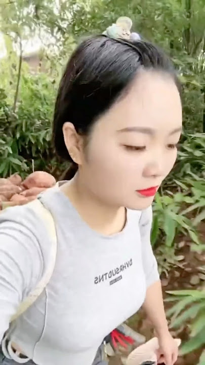 Mastran burung lucu viral kocak ngakak meme funny memes moments