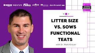Litter size vs. sows functional teats