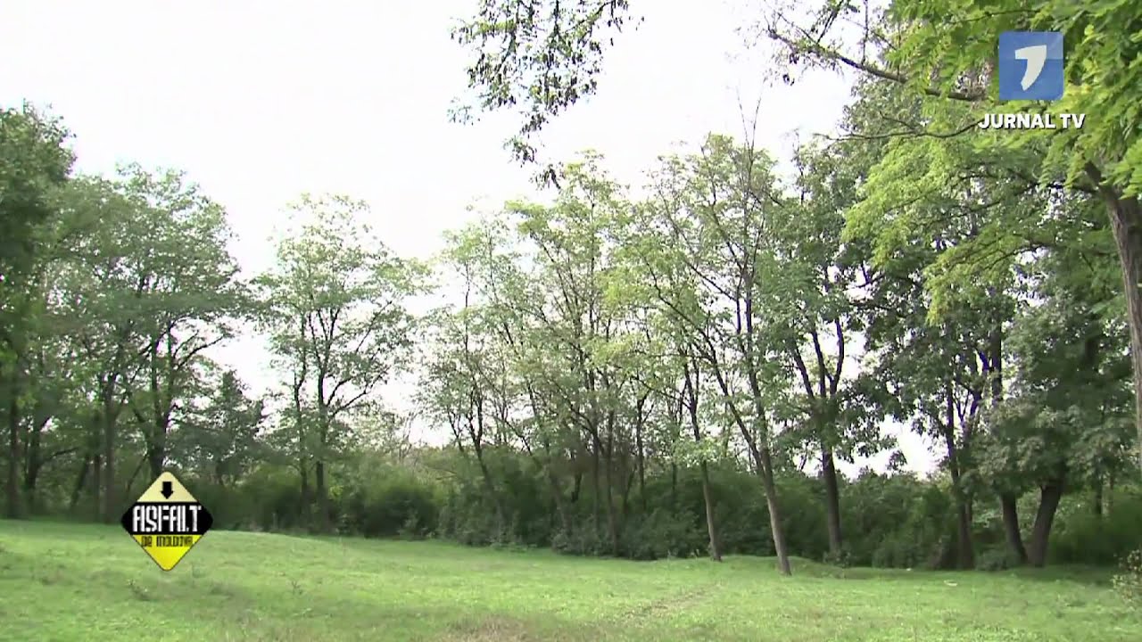 ASFALT DE MOLDOVA - Conacul din Zberoaia