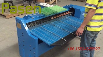 Egg Weighing Machine Grading Sorting Eggs grader machine