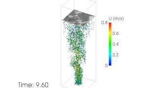 Bubbly flow within a water domain