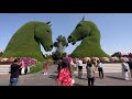 Dubai Miracle Garden | Airplane made of flowers Emirates | Flower garden