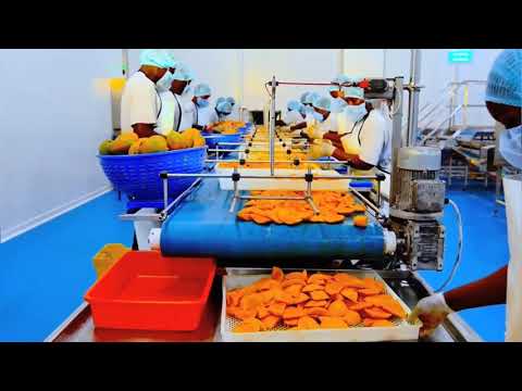 Do you Know How to Dried Mango and Pineapple in Factory？