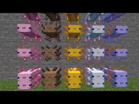 【マイクラ】コマンド１つ！吹き上がるモブの作り方【Java】