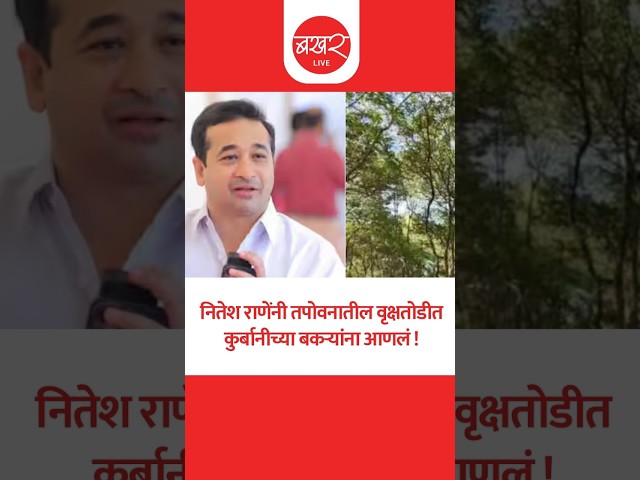 Akhil Chitre On Nitesh Rane: ठाकरे गटाच्या नेत्याने अक्कल काढली, म्हणाला, 'टिल्लू लेव्हल बुद्धी...'!