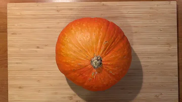 Jak připravit Dýňové pyré?