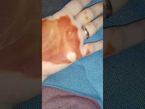 شكون تشكر لعروسة فمها ولا امها