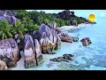 Sunny Forest Gentle Wind – Relaxing Background Sounds