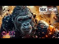 16K HDR 240FPS - Dolby Vision 16K Video #16kvideo #4kvideo