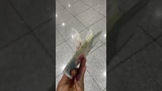 Exploring High-Value Singapore Dollar Notes Sgd Currency Explained