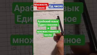 Уроки арабского языка #арабскийязык единственное и множественное число