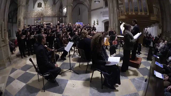 Misa de Santa Teresa 'Theresienmesse' (Michael Hay...