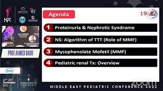 Nephrotic Syndrome Prof Ahmed Badr