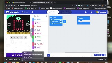 MakeCode Micro:bit Animation Demo