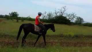 20140526 090547