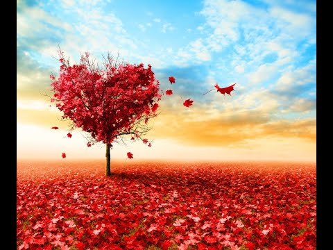 ما تجربه کردیم کسی یار کسی نیست