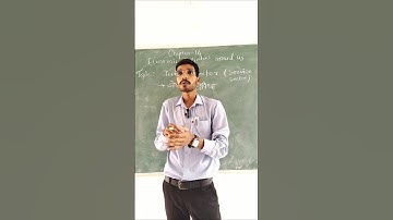 Tertiary Sector explained #shorts  #sectorsofeconomy