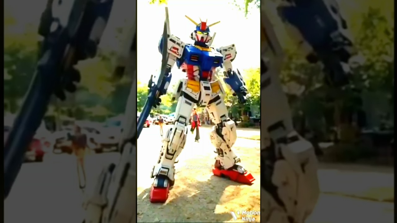 Tractor transfer TransForm 