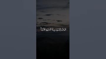 الْمَالُ وَالْبَنُونَ زِينَةُ الْحَيَاةِ الدُّنْيَا ۖ || سورة الكهف #عبدالله_الموسى 🤍🌱