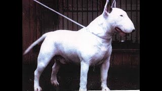 Kilacabar Stand And Deliver