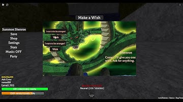 Project XL: Summoning shenron and getting beerus.