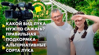 Какой Вид Лука Нужно Сажать? | Альтернативные Сорта Лука | Как Вырастить Ранние Огурцы. Дача