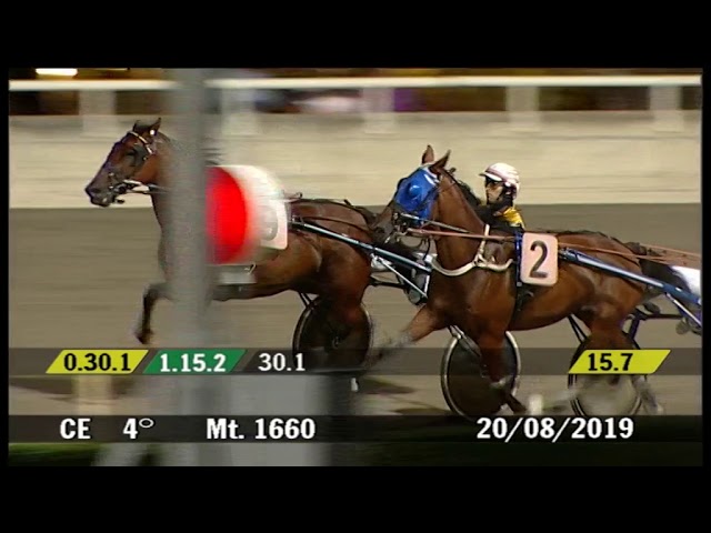 2019 08 20 | Corsa 4 | Metri 1660 | Premio Cavallo Magazine