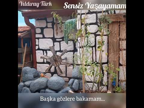 Sensiz Yaşayamam (Şiir) - Yıldıray Türk