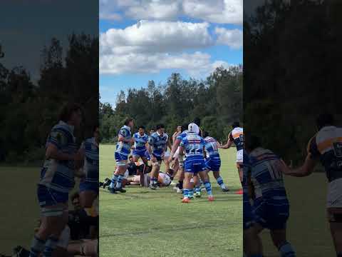 #FirstGrade #rugby : #TwoBlues v #Brumbies 🏉 rolling scrum #sydneyrugby #shorts