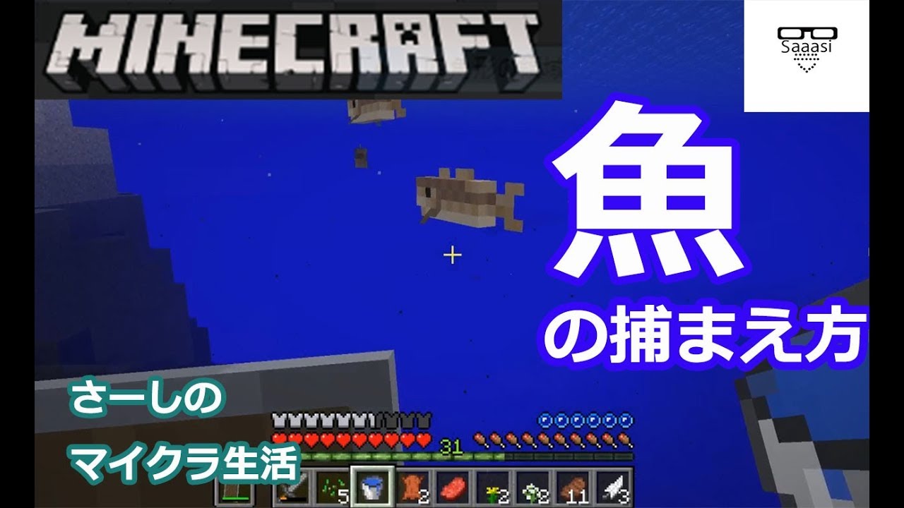 マインクラフト実況 魚 Mod の捕まえ方 飼う さーしのサバイバル生活part17 Minecraft Pc Java Edition Youtube