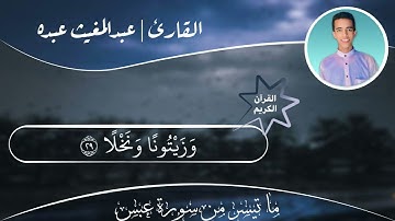 ما تيسر من سورة عبس 🥀 (فلينظر الإنسان إلى طعامه... )