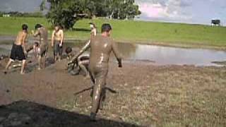 Imagem 278.avi