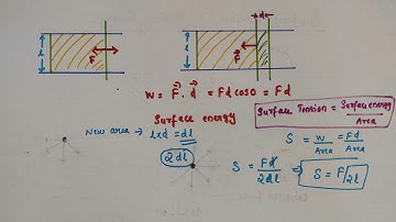 Surface Tension and Surface Energy // Class 11 Physics// Chapter 10 Mechanical properties of fluids