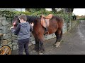 Gap of Dunloe Horse Fair 2019